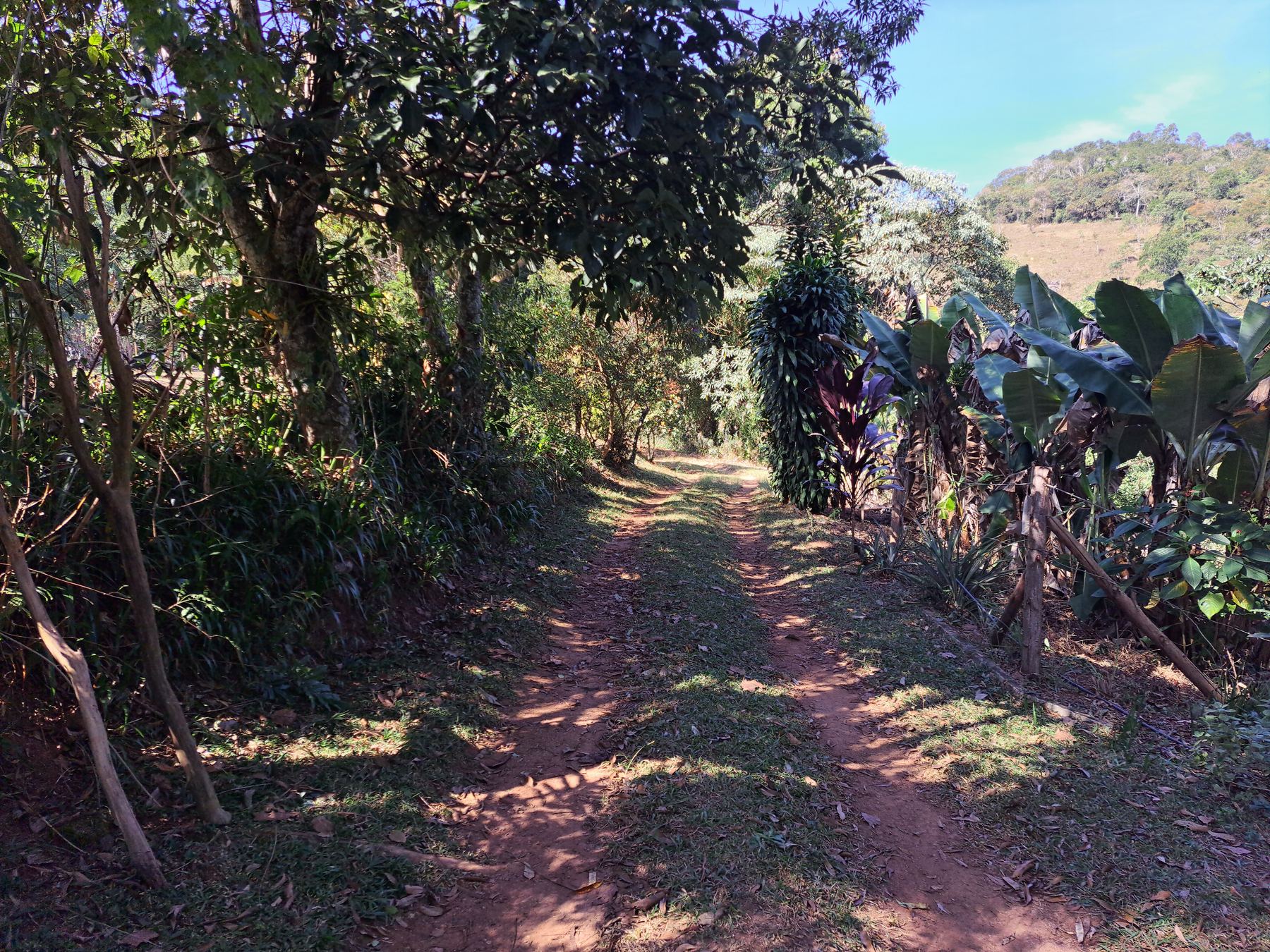 Foto do sítio